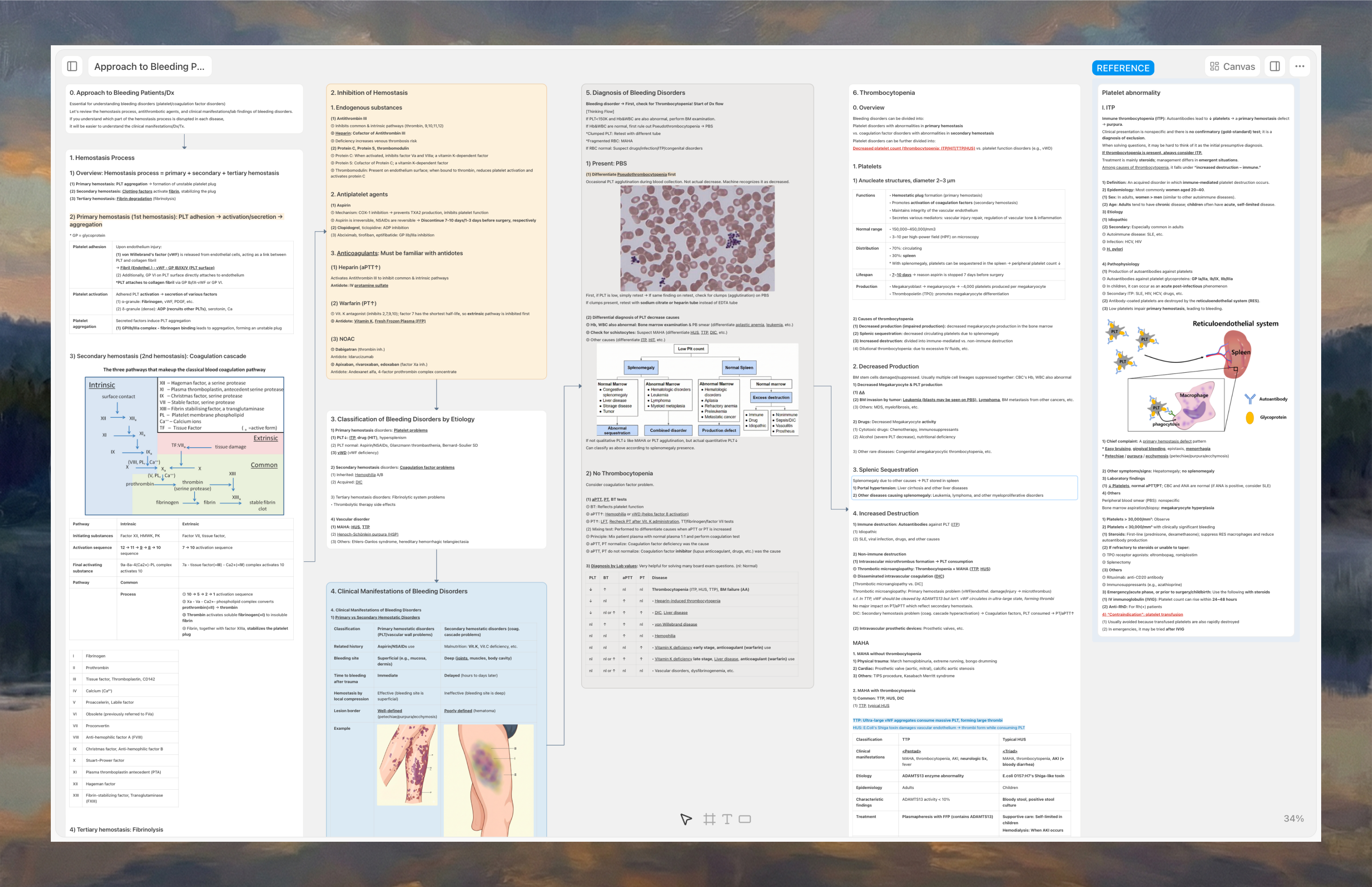 Arky試験対策キャンバス – 整理された学習ノート
